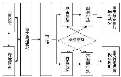 致病因素拼圖圖
