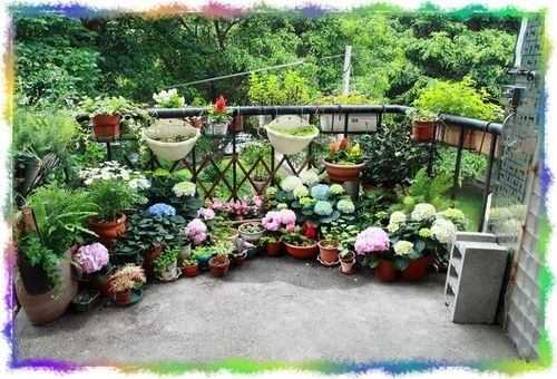 祕密花園